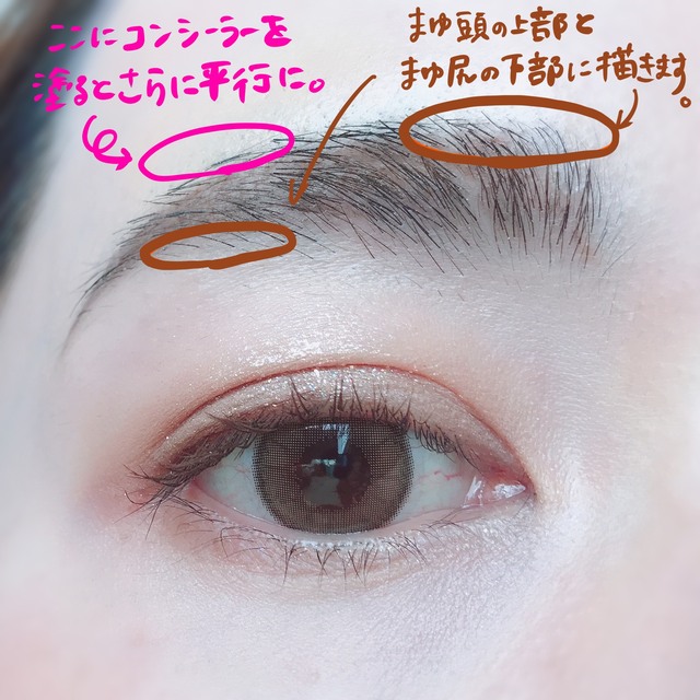 【韓国メイク×眉毛】眉頭と眉尻を描いて平行眉を作る