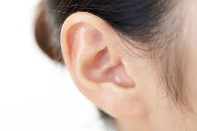 （1）耳下腺（じかせん）リンパ節