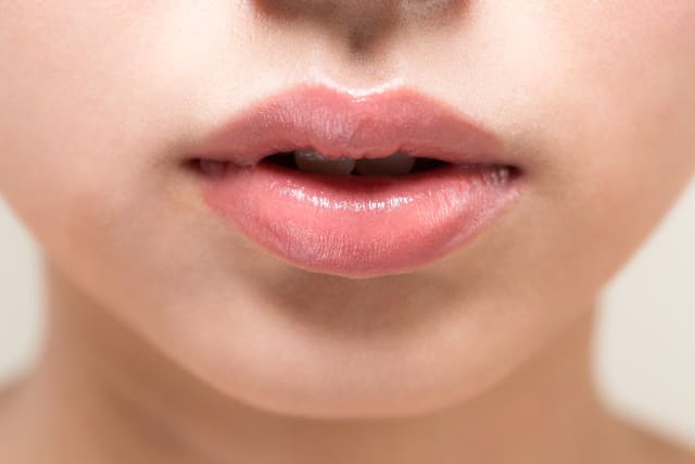 唇のターンオーバーのサイクル