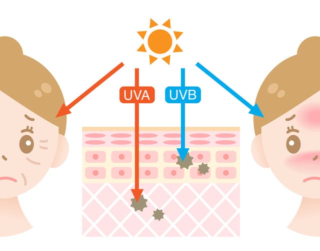 UVA、UVBの肌への影響とは？
