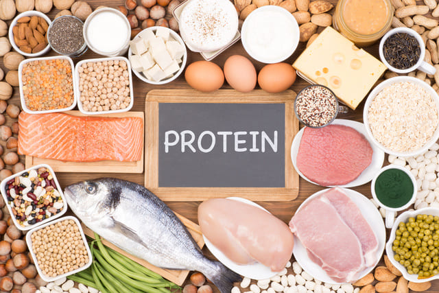 代謝アップに役立つタンパク質が豊富