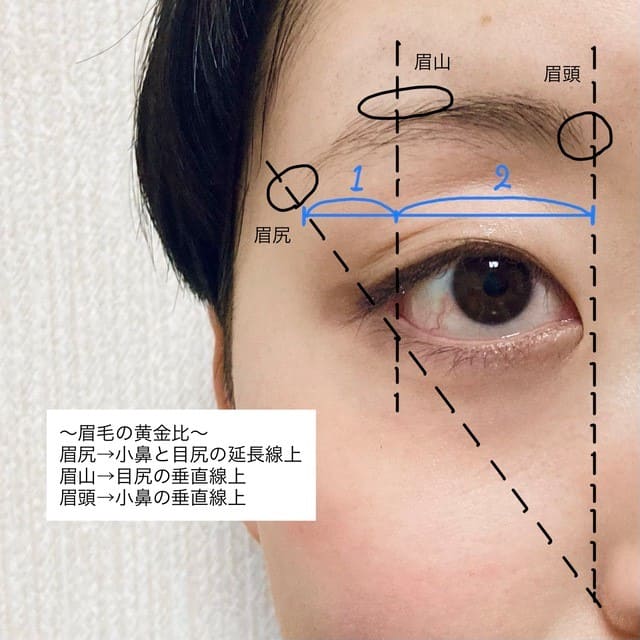 基本の眉毛の整え方①：毛流れを整え、理想の眉を下書きする