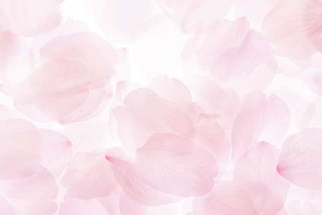 春のオフィスネイルおすすめカラー（1）ピンク