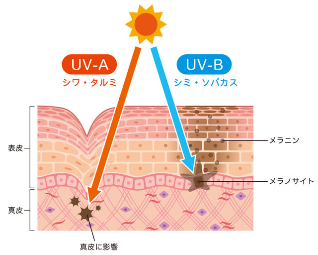 紫外線ケアはなぜ重要？肌への影響をおさらいしよう