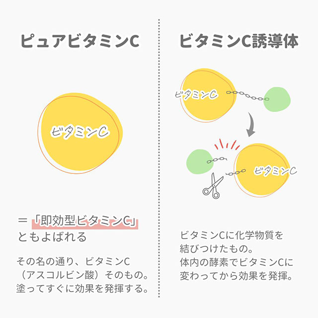 有効成分アスコルビン酸とは？ビタミンCとの違いについて